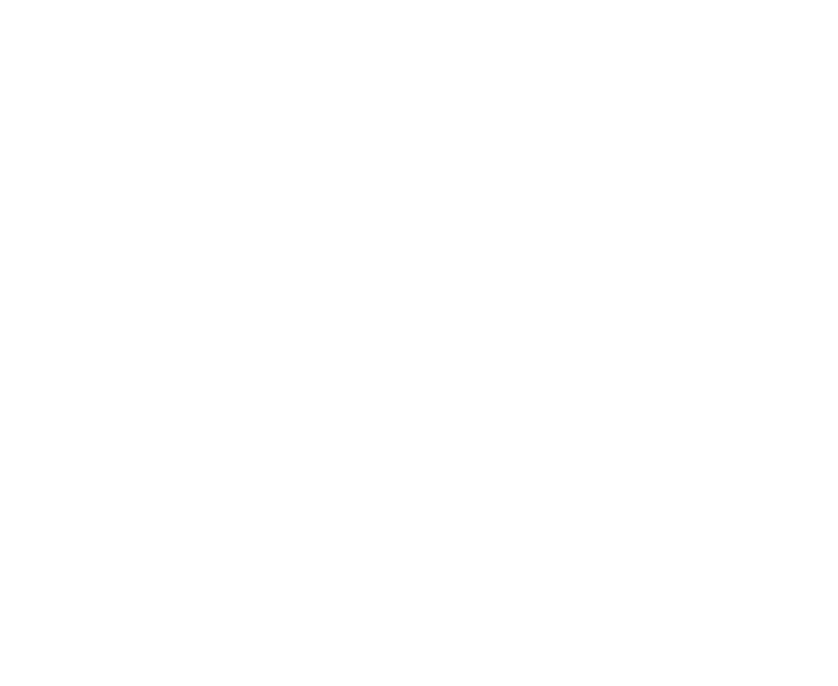 Emir Atlas Sigorta